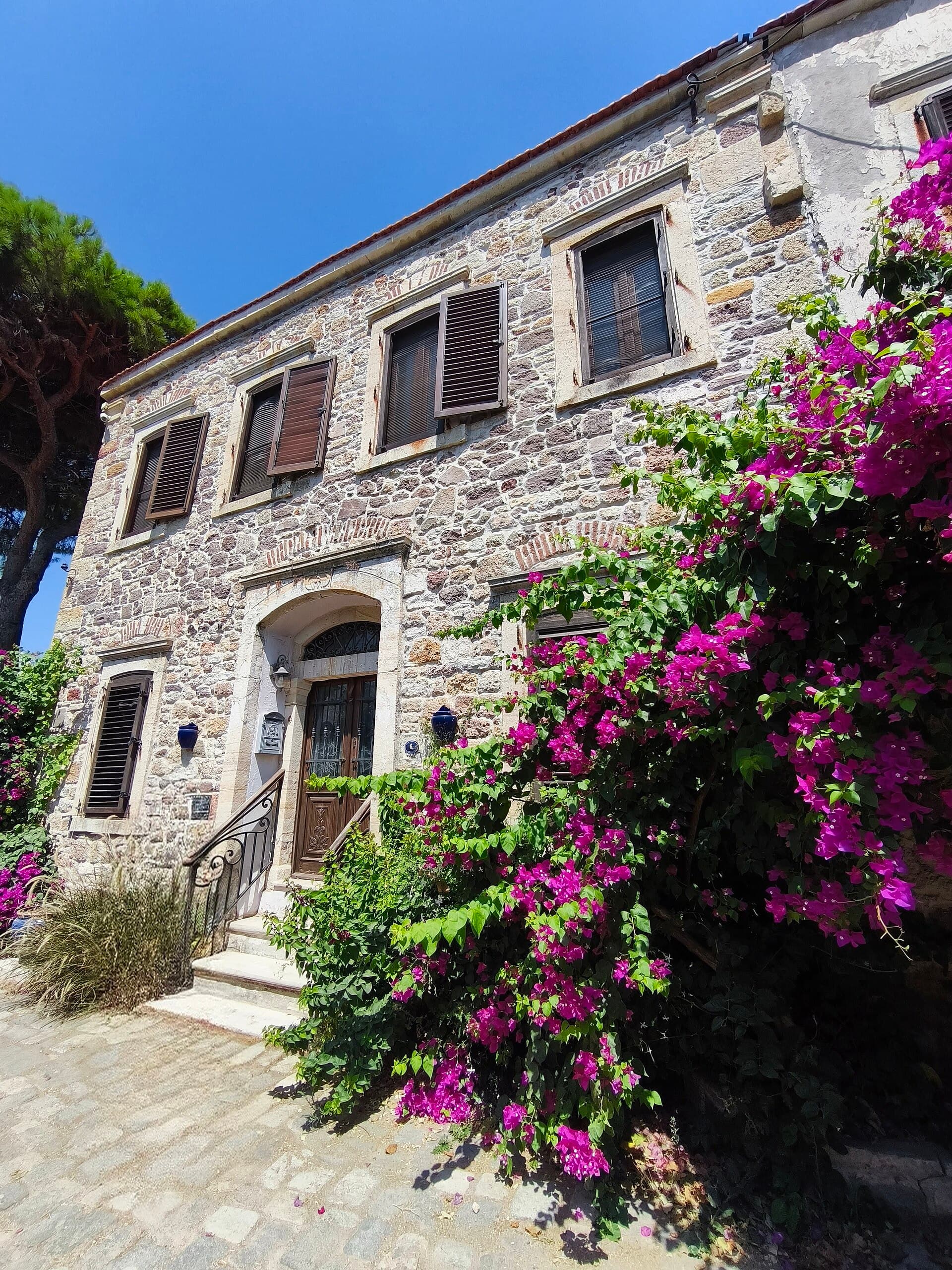 Tarihi Foça dokusu